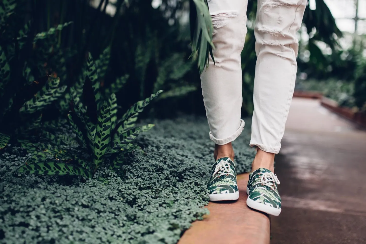 Bucketfeet 'Savusavu' Lace Up Tennis Shoes Sneakers 5 NIB! $68