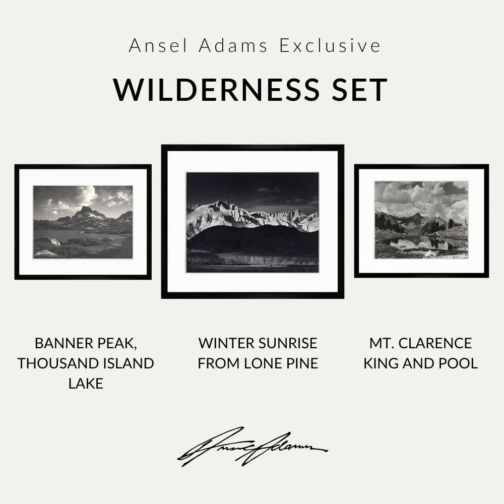 Wilderness Set
