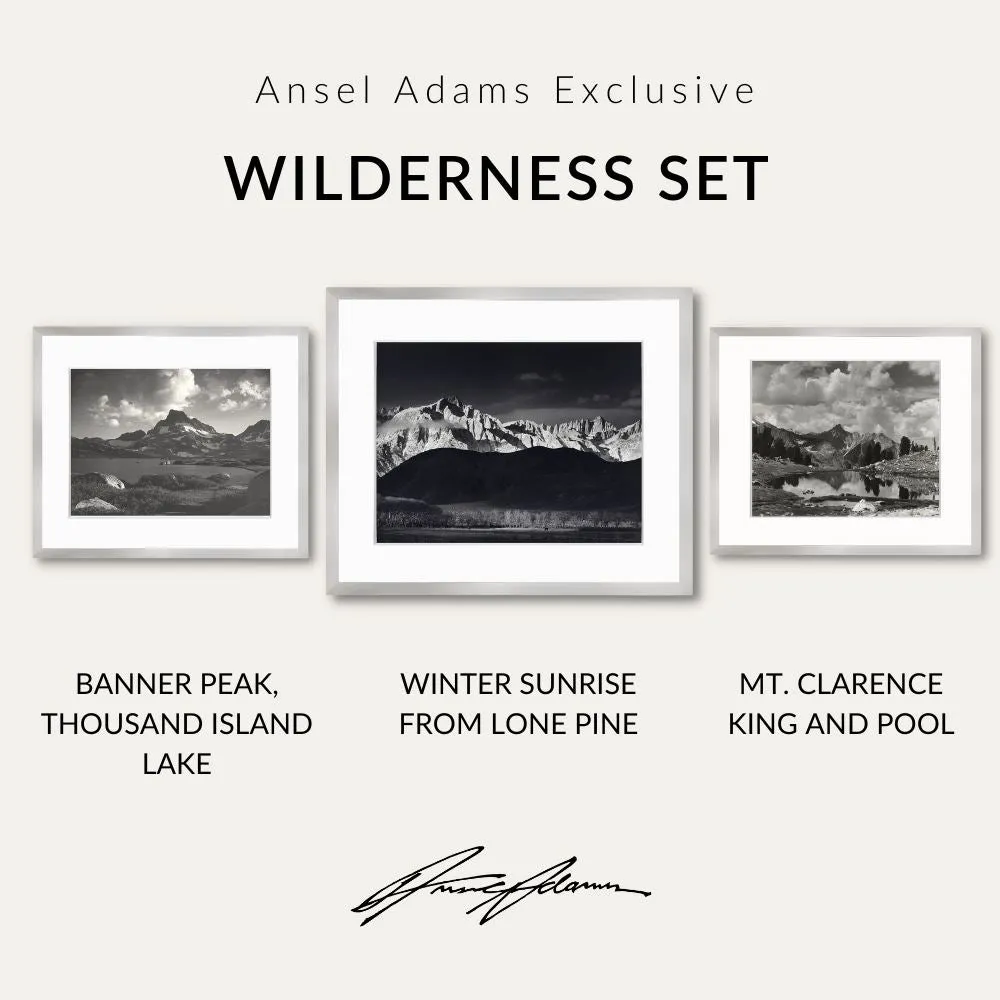 Wilderness Set