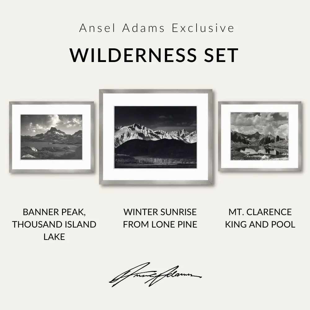 Wilderness Set