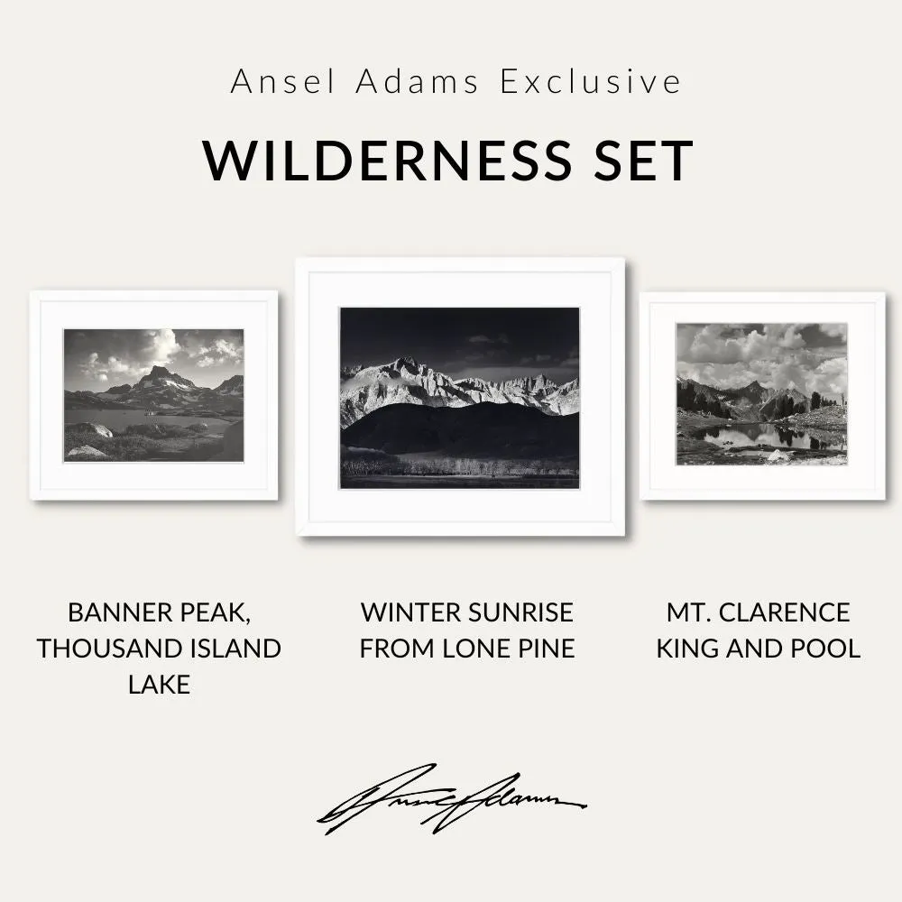 Wilderness Set